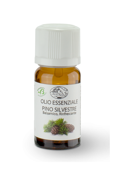 olio essenziale pino silvestre